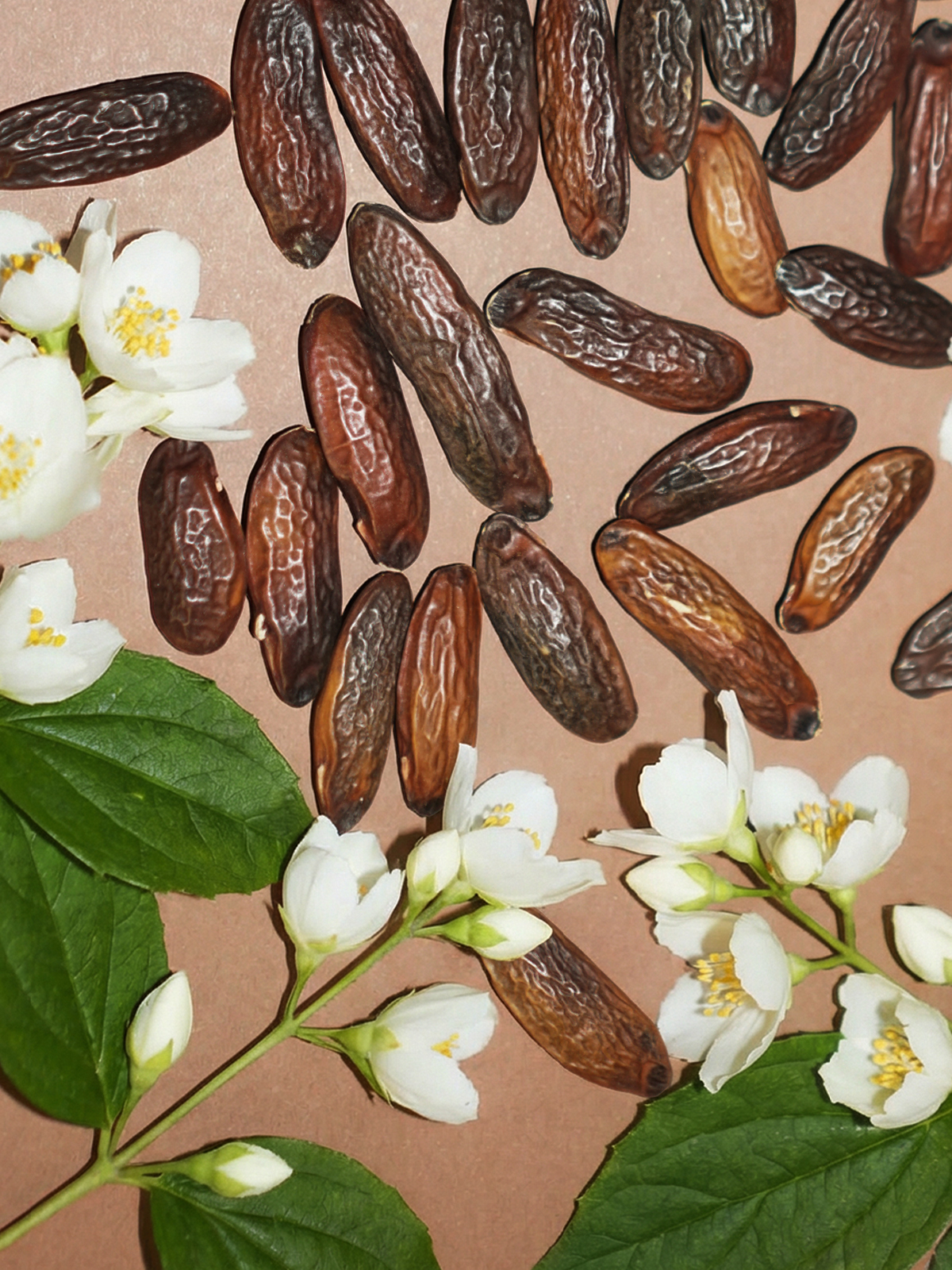 Natural Soothing Hand Cream Jasmine & Tonka